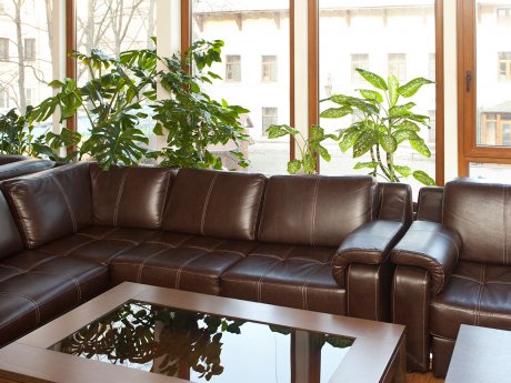 Conference Halls